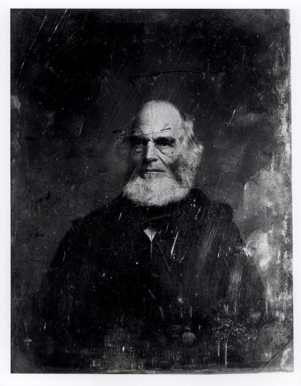 William Cullen Bryant (1794-1878) ca. 1851-60 (daguerreotypi) af Mathew B. Brady