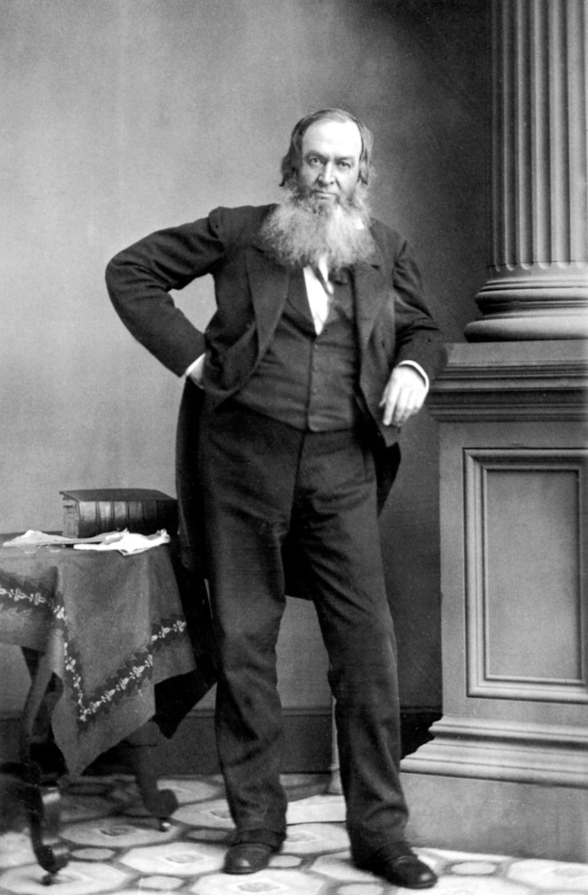 Gerrit Smith: Amerikansk politiker, New York af Mathew B. Brady