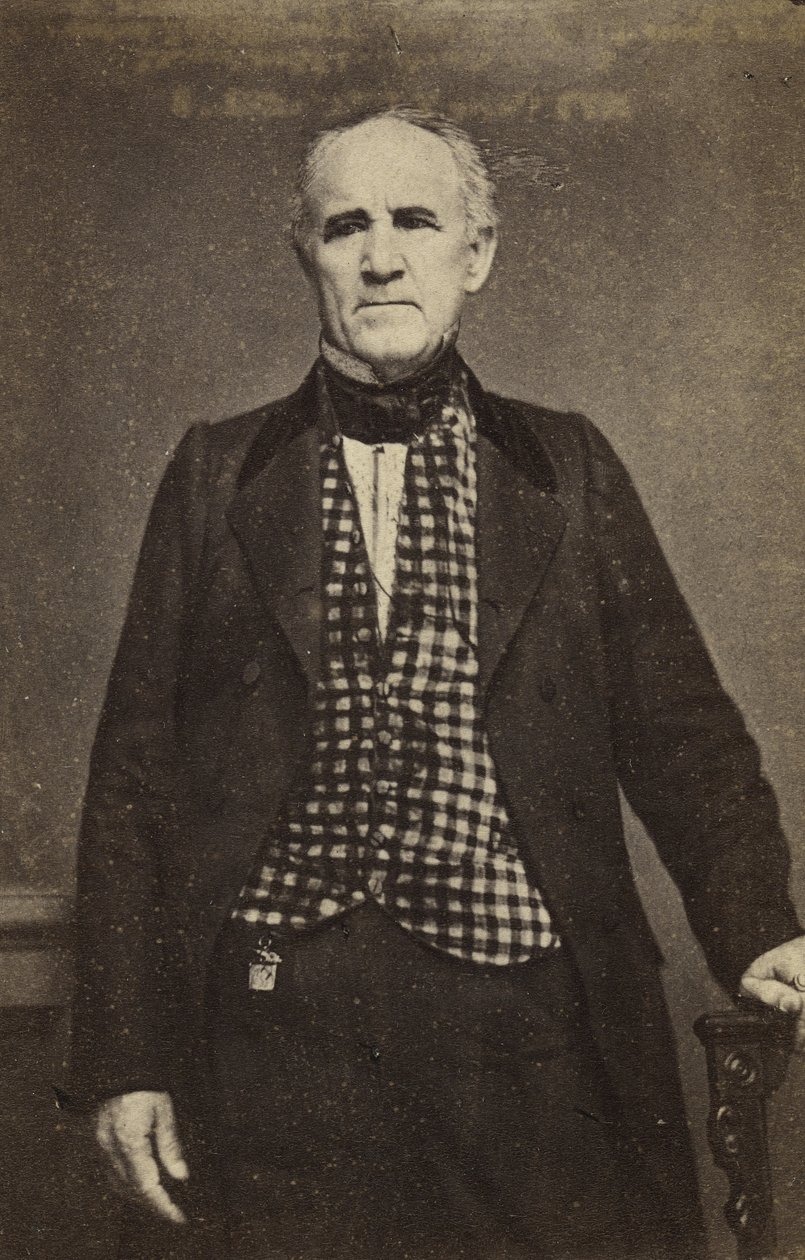 Sam Houston, ca. 1860-65 (albumen-sølvtryk) af Mathew B. Brady
