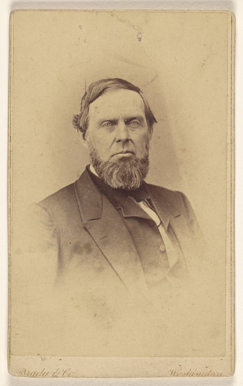 [Ukendt skægget mand, afbildet i vignette-stil] af Mathew B. Brady
