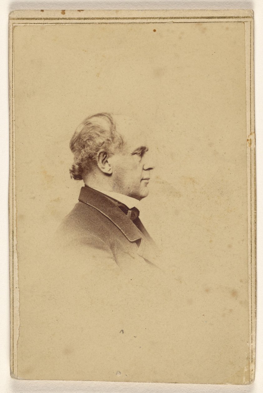 [Uidentificeret mand i profil, trykt i vignetstil] af Mathew B. Brady