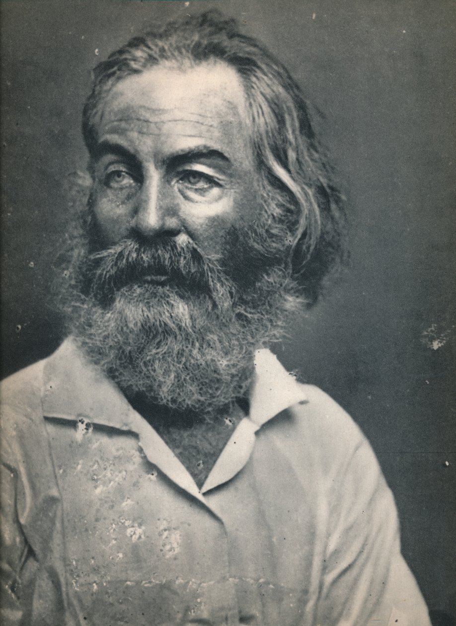 Walt Whitman, c1862, 1939 af Mathew B. Brady