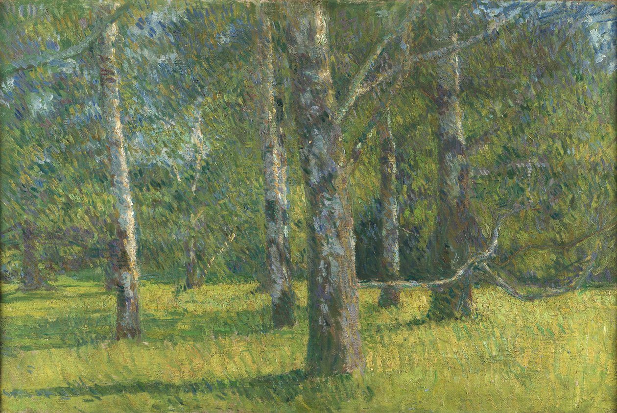 Birkes i Laxenburg af Matija Jama