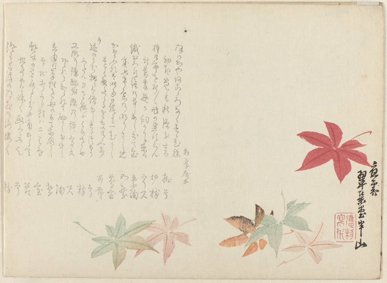 Japansk ahorn af Matsukawa Hanzan