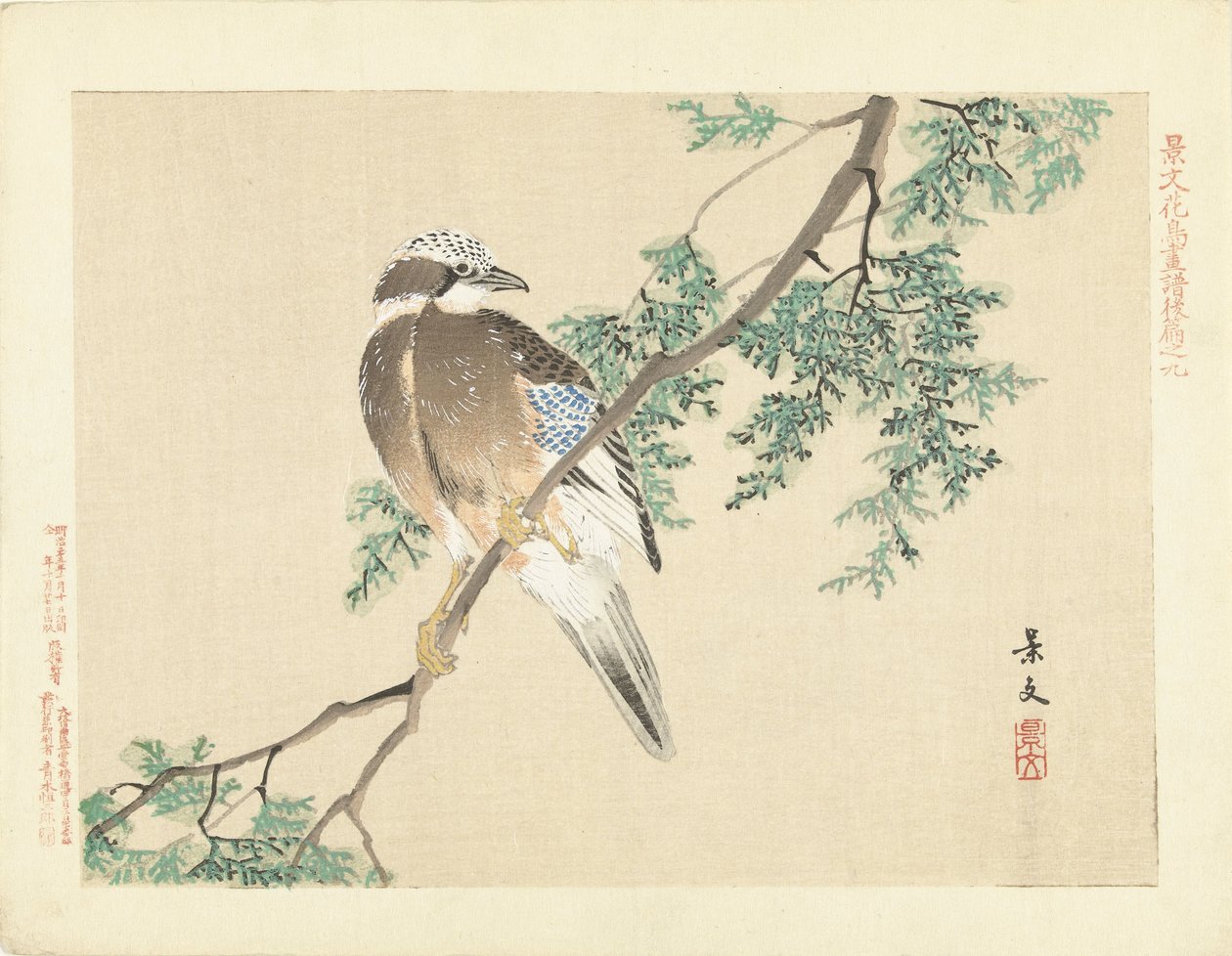 Jay på en gren af Matsumura Keibun