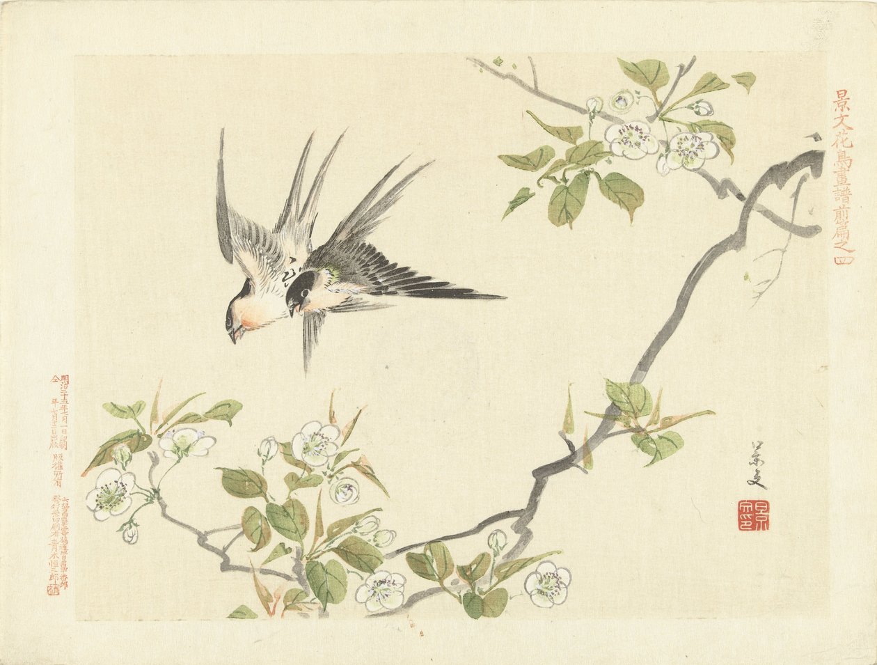 To svaler Blomster- og fugleskitser fra Keibun - del 1 (serietitel) Keibun kacho gafu zen pen (serietitel på objekt) af Matsumura Keibun