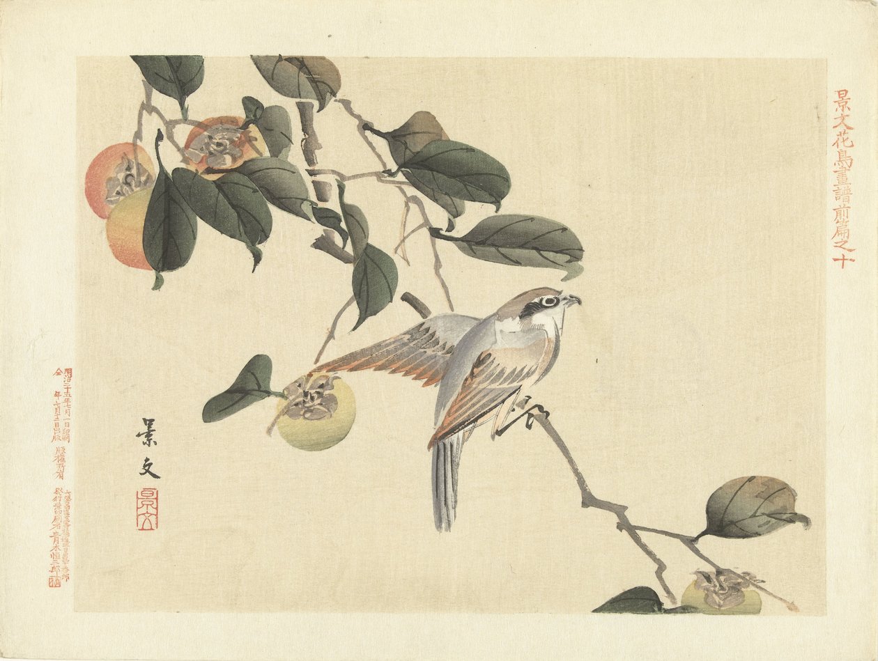 Fugl og persimmon Blomster- og fugleskitser fra Keibun - del 1 (serietitel) Keibun kacho gafu zen pen (serietitel på objekt) af Matsumura Keibun