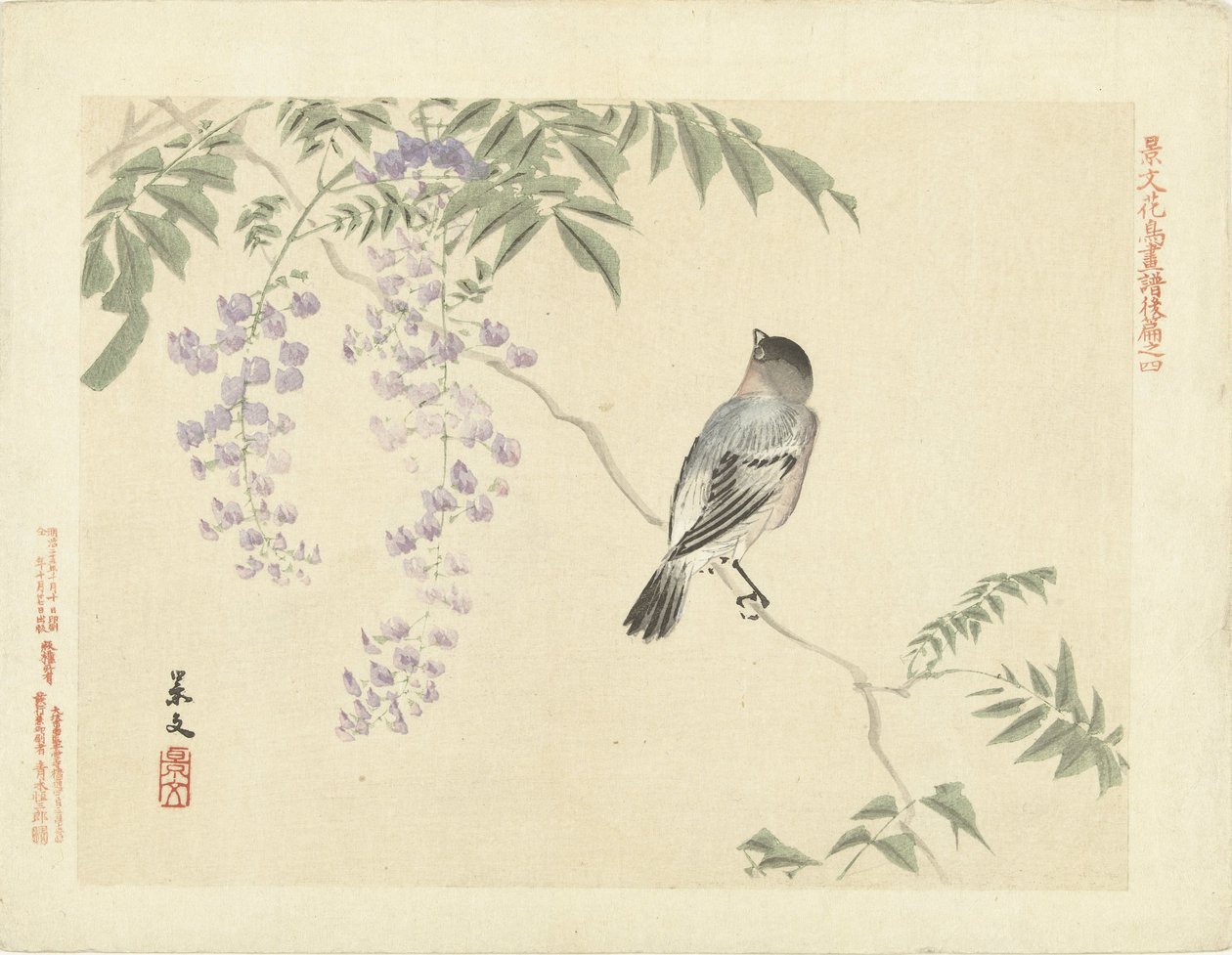 Fugl på blåregn gren Flower and Bird Skitser af Keibun - del tre (serietitel) Keibun kacho gafu kohen (serietitel på objekt) af Matsumura Keibun
