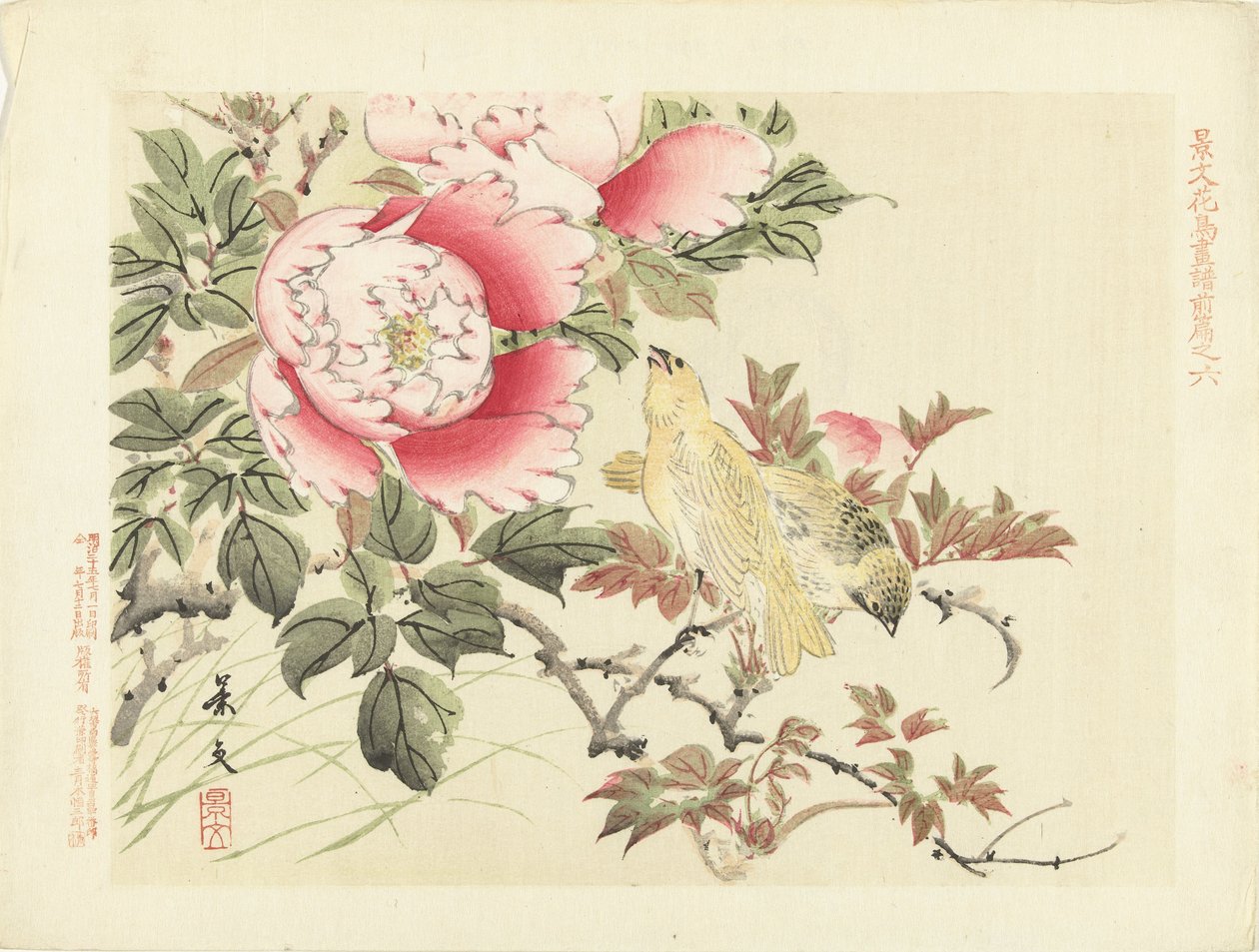 Fugle og pæoner Blomster- og fugleskitser fra Keibun - del 1 (serietitel) Keibun kacho gafu zen pen (serietitel på objekt) af Matsumura Keibun