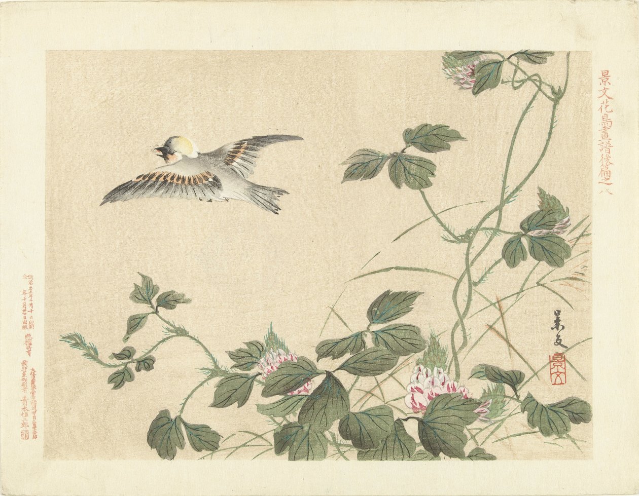 Fugl flyver væk ved slyngplante med lyserøde blomster Flower and Bird Skitser af Keibun - del tre (serietitel) Keibun kacho gafu kohen (serietitel på objekt) af Matsumura Keibun