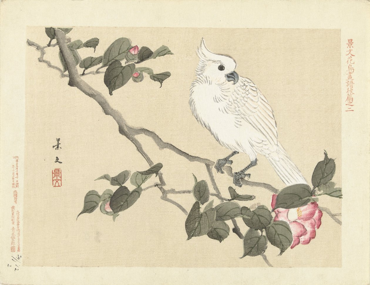 Hvid kakadue på kameliagren Flower and Bird Skitser af Keibun - del tre (serietitel) Keibun kacho gafu kohen (serietitel på objekt) af Matsumura Keibun