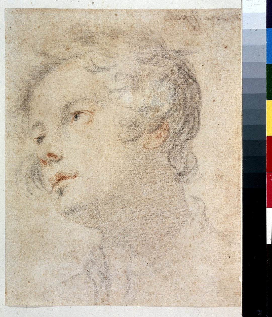 Hovedet af en dreng. Maleri af Matteo Rosselli (1578-1650). Kridt og rødt kridt på papir af Matteo Rosselli