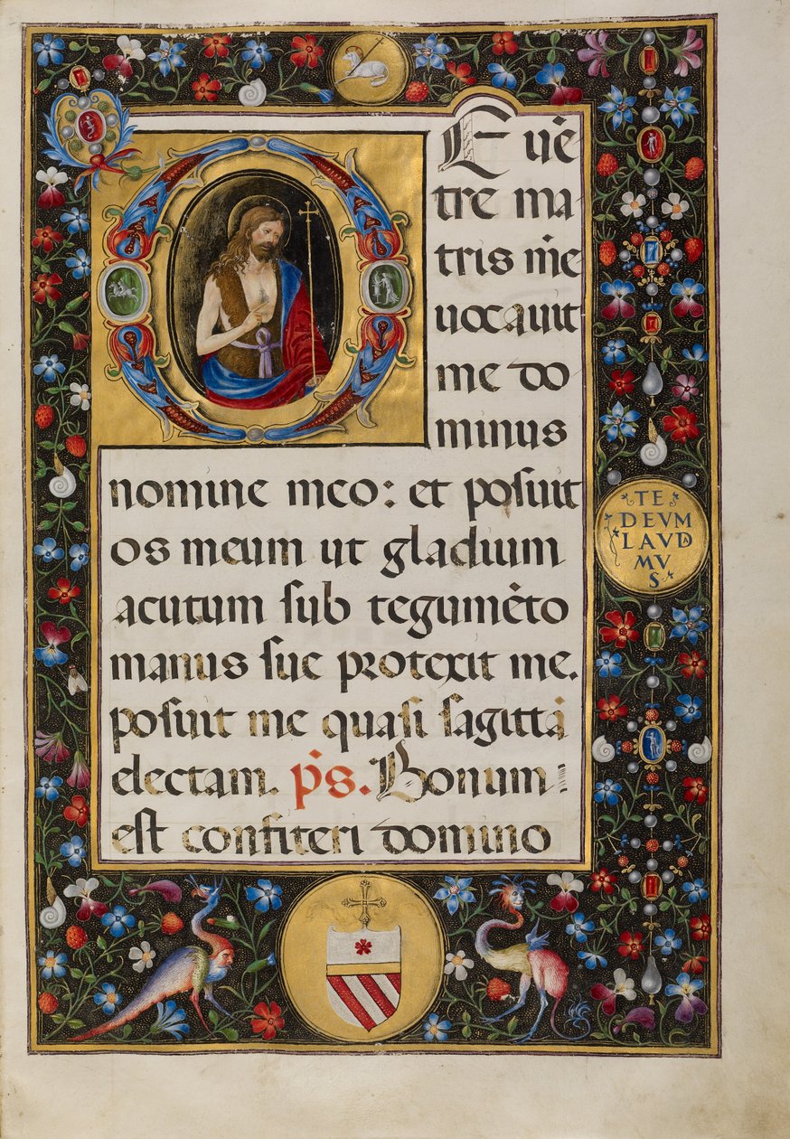 Indledende D: Sankt Johannes Døberen af Matteo da Milano