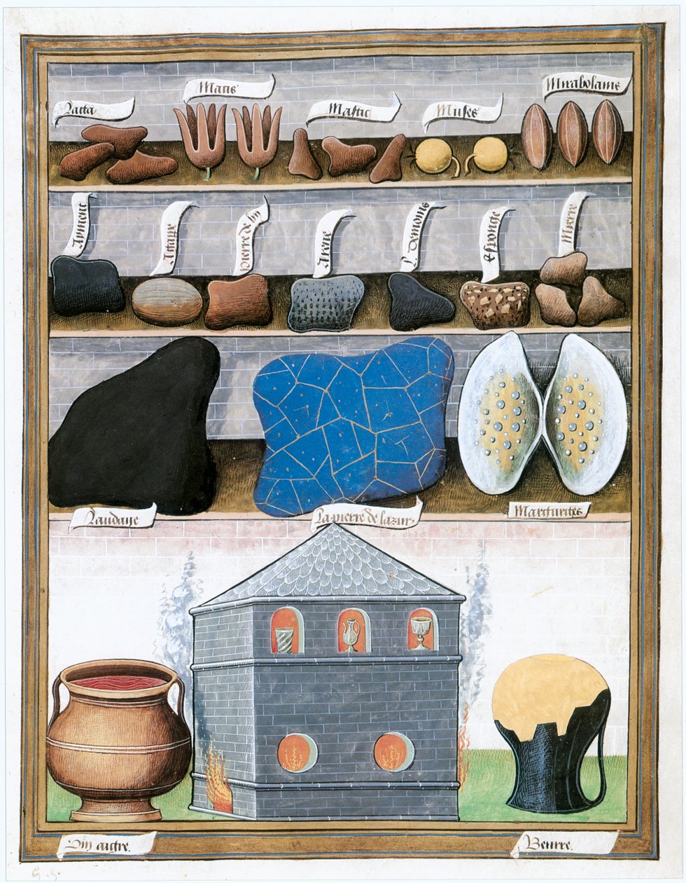 Le Livre des Simples Medecines, slutningen af 1400-tallet, begyndelsen af 1500-tallet (pergament) af Matthaeus Platearius