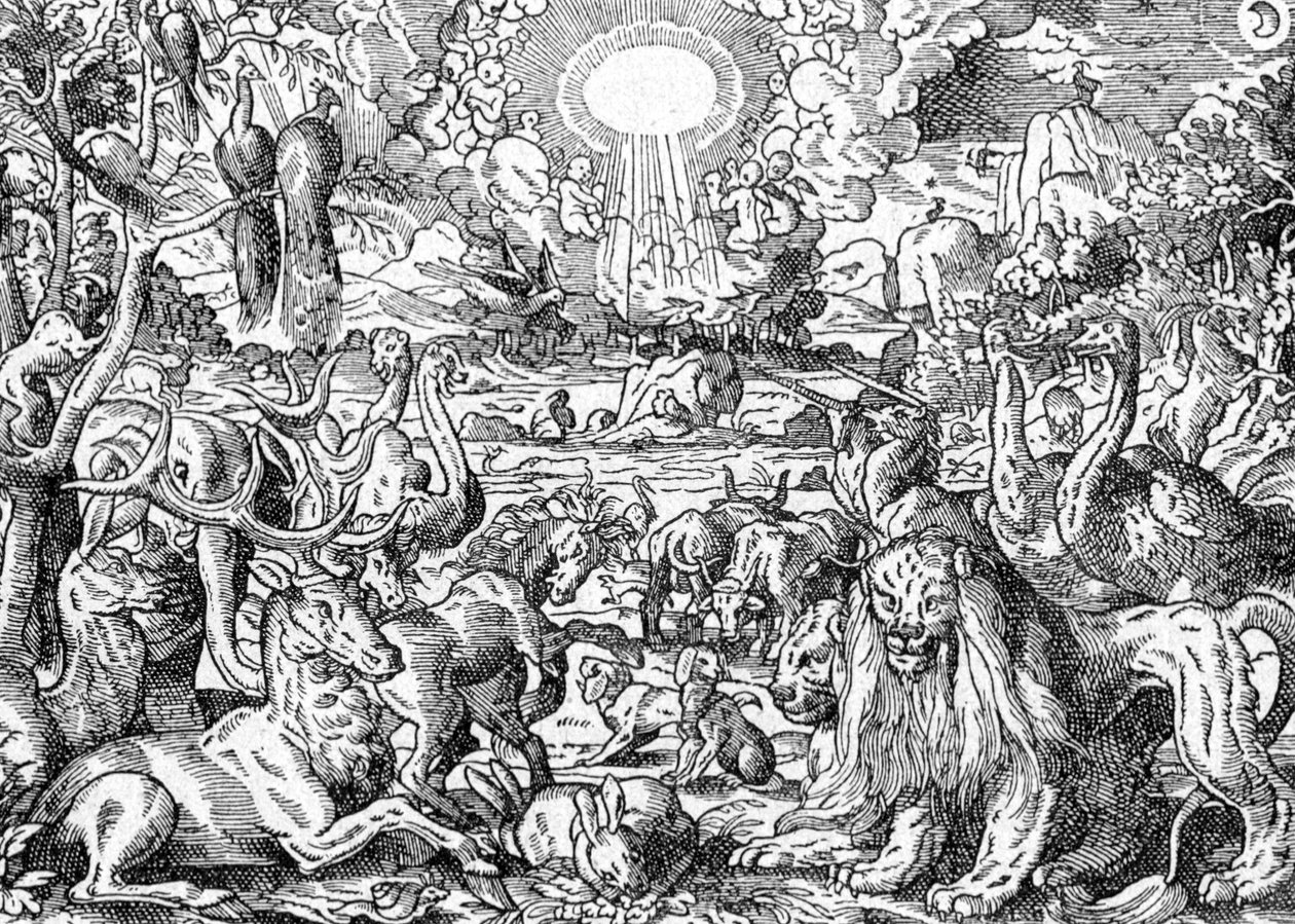 Paradis af Matthaus the Elder Merian