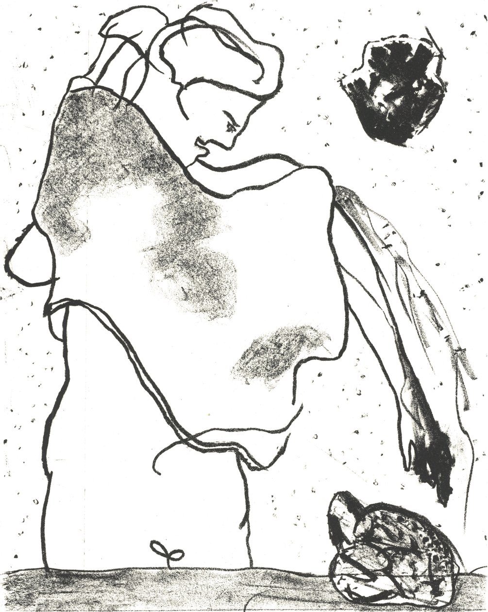 Des Bêtes" Kunstnerbog 2, 2018 (litografi) af Matthew Hilton