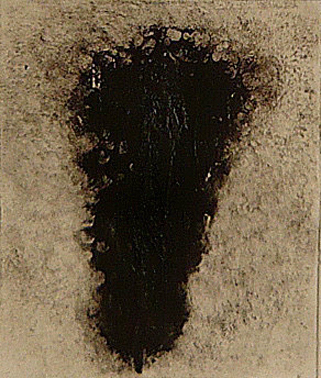 ossie, 2009 (helioprint) af Matthew Hilton