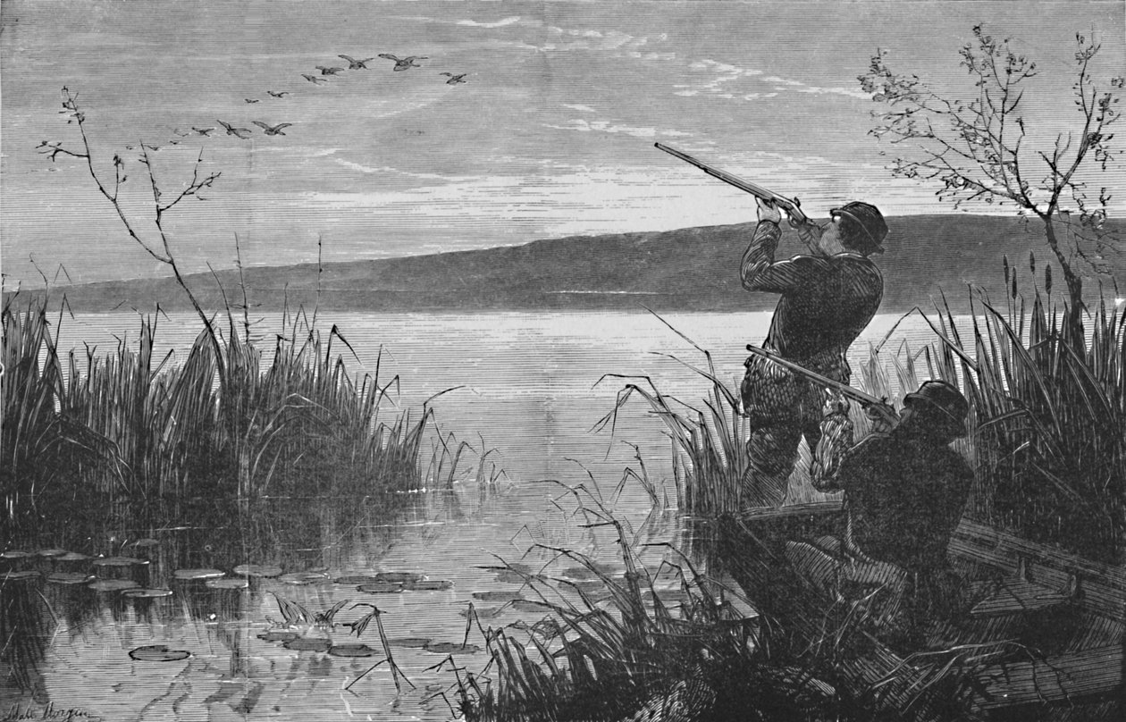 Andeskydning på Saratoga-søen, 1973, 1883 af Matthew Somerville Morgan