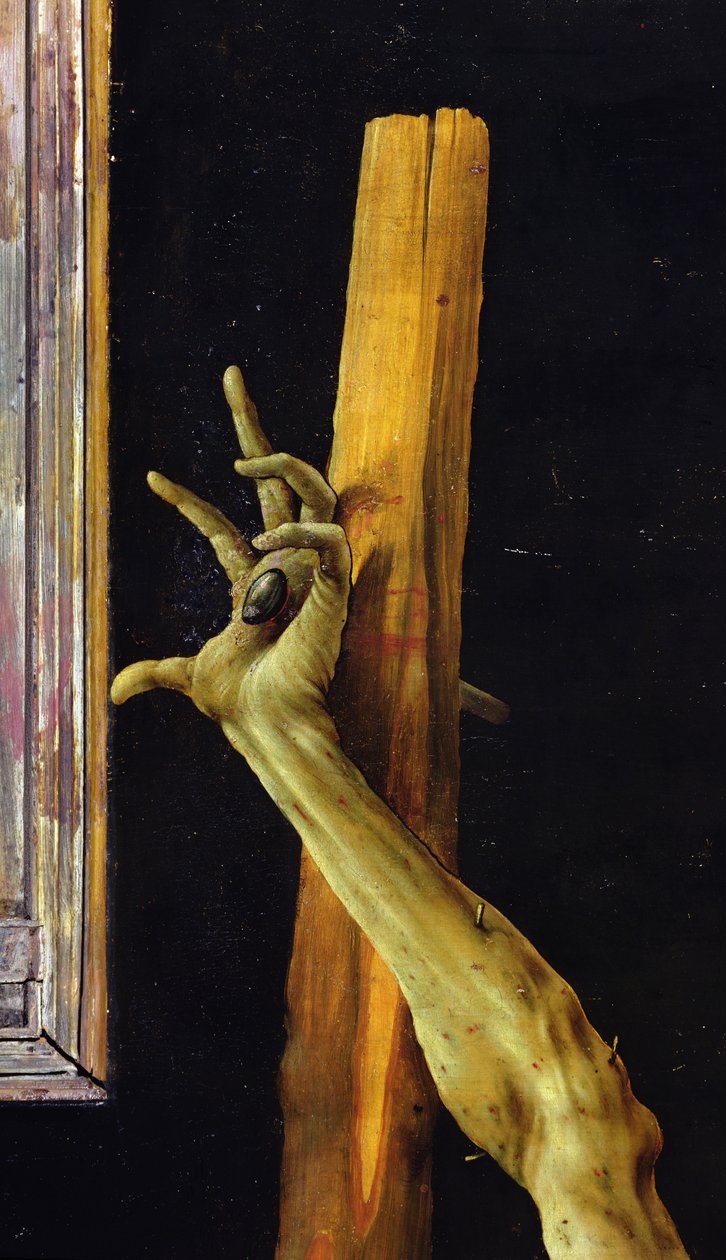 Isenheim-altertavlen, lukket detalje af Kristi venstre hånd, ca. 1512-16 olie på panel af Matthias Grünewald