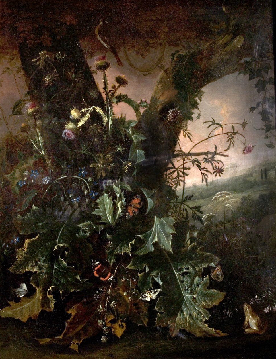 Stilleben med frø og guldfink af Matthias Withoos