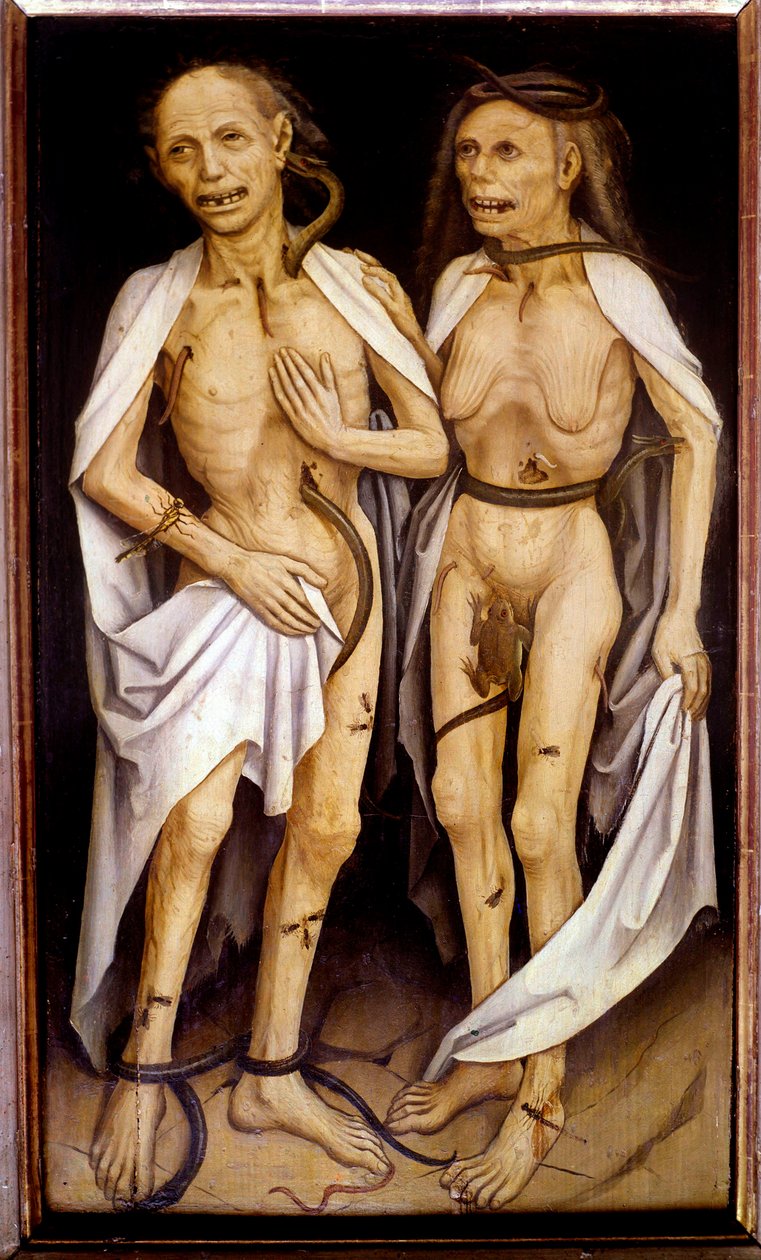 Overtræder elskere, et alderspar med kroppe i nedbrydning, gennemsyret af slanger og dækket af insekter, minder Adam og Eva (olie på træ) af Matthias (c.1480 1528) Grunewald