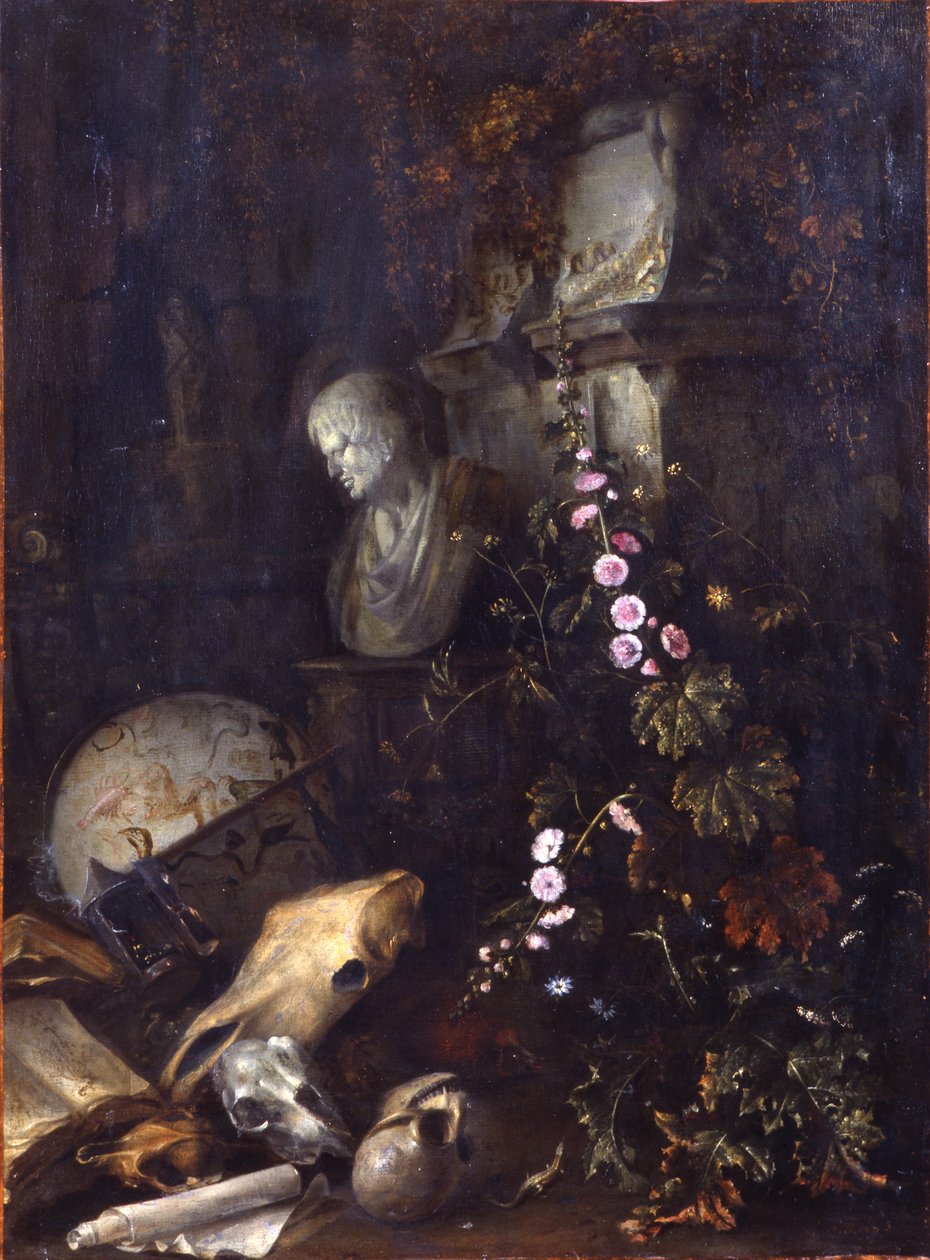 forfængelighed af Matthias Withoos