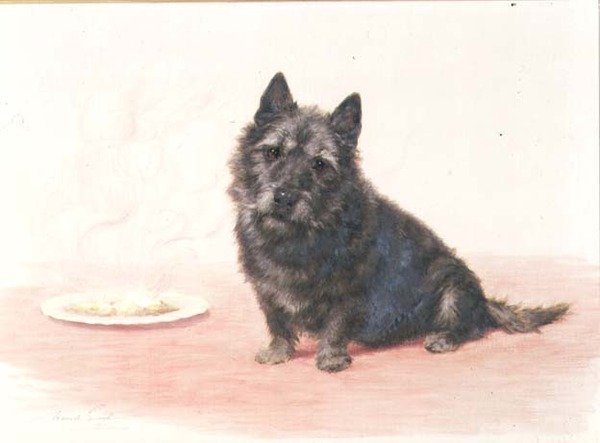 Suppertime - en skotsk terrier, der sidder ved en tallerken af Maud Earl