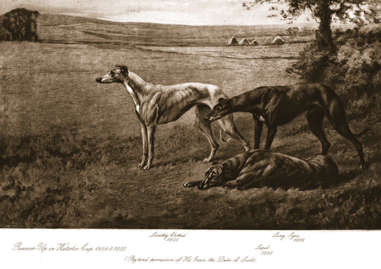 Duke of Leeds-hundene, 1911. af Maud Earl