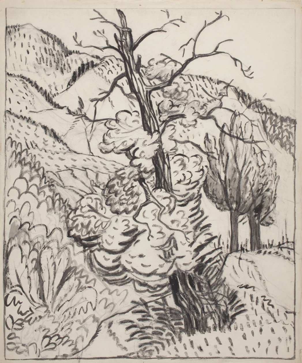 Tree on Mountainside, ca. 1930 (pensel, blæk og kul på råhvidt vævet papir) af Maud Hunt Squire