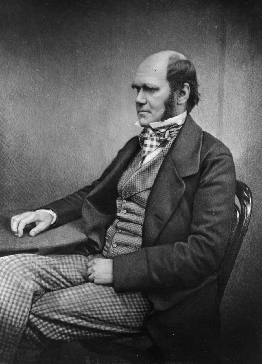 Charles Darwin af Maull and Fox