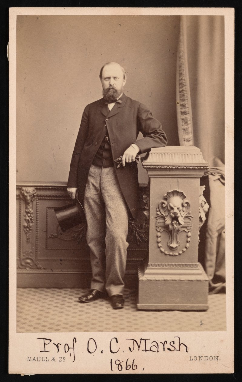 Portræt af Othniel Charles Marsh 1831-1879, 1866. af Maull and Co