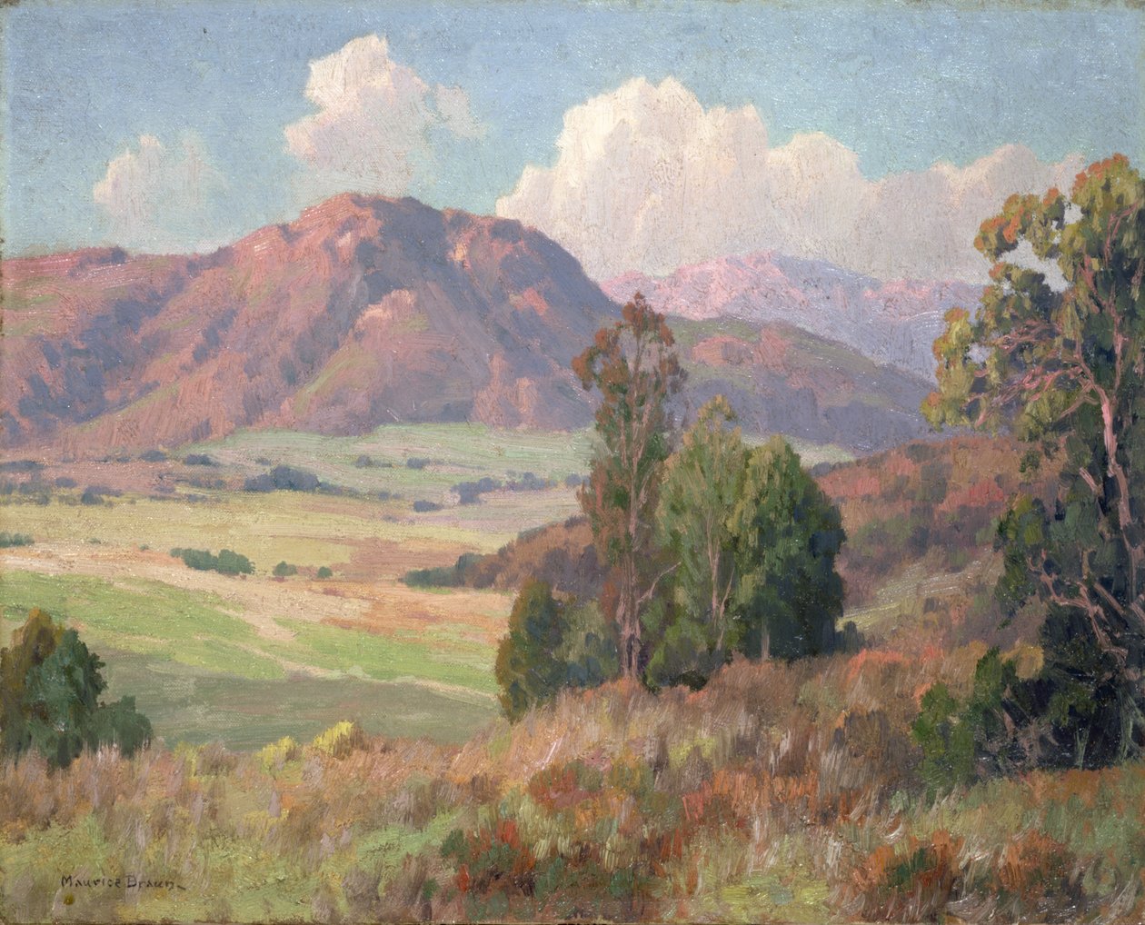 San Diego Hills (olie på lærred) af Maurice Braun