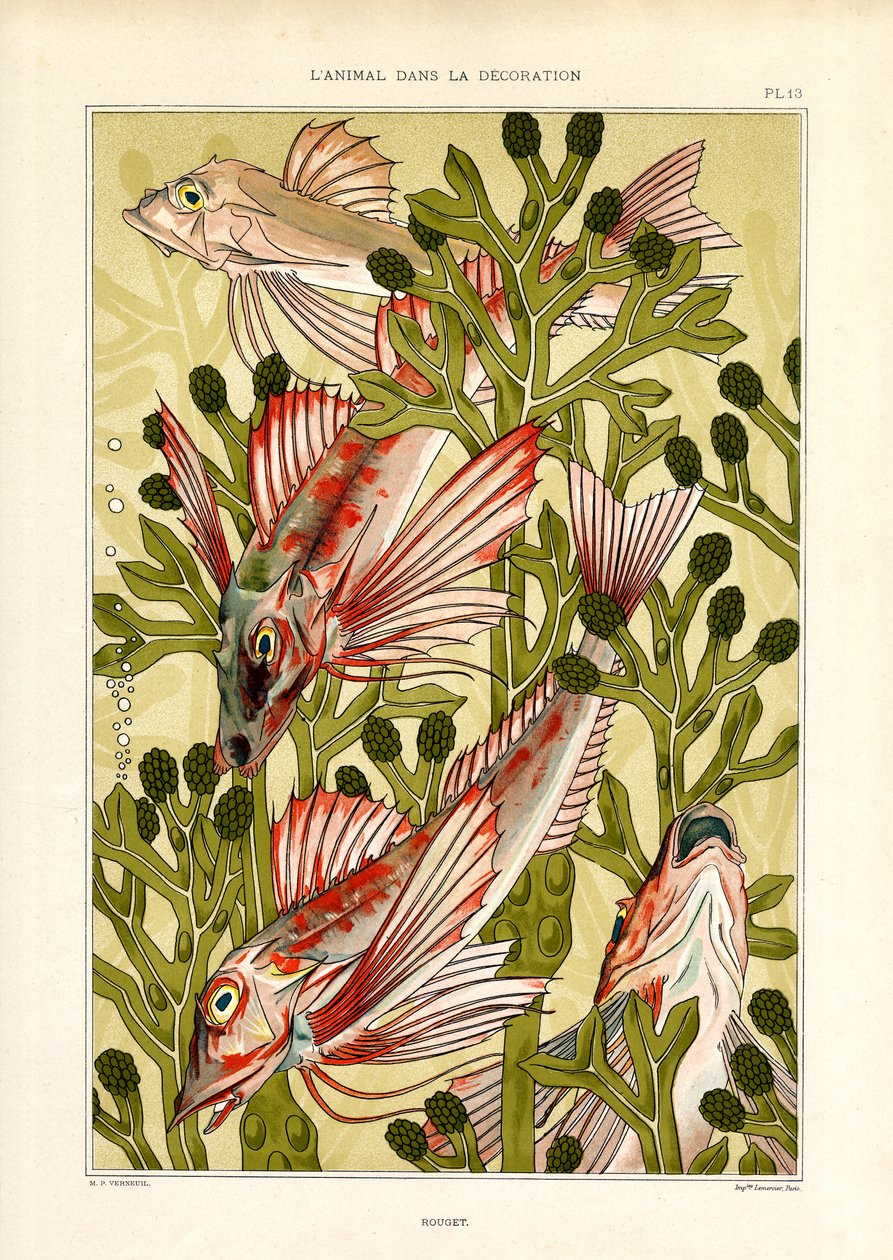 Stiliserede fisk blandt havplanter (litografi) af Maurice Pillard Verneuil