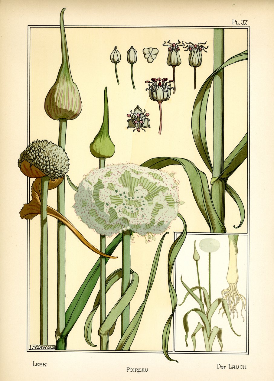 Porren (farve litho) af Maurice Pillard Verneuil