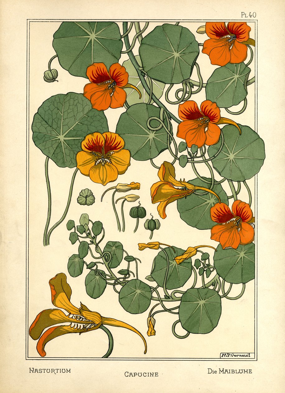 Nasturtium (farve litho) af Maurice Pillard Verneuil