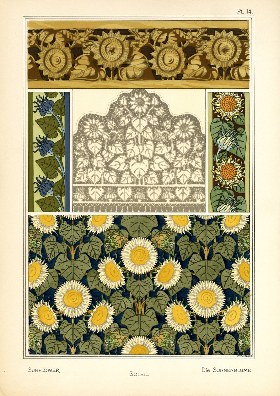 Solsikken (farve litho) af Maurice Pillard Verneuil