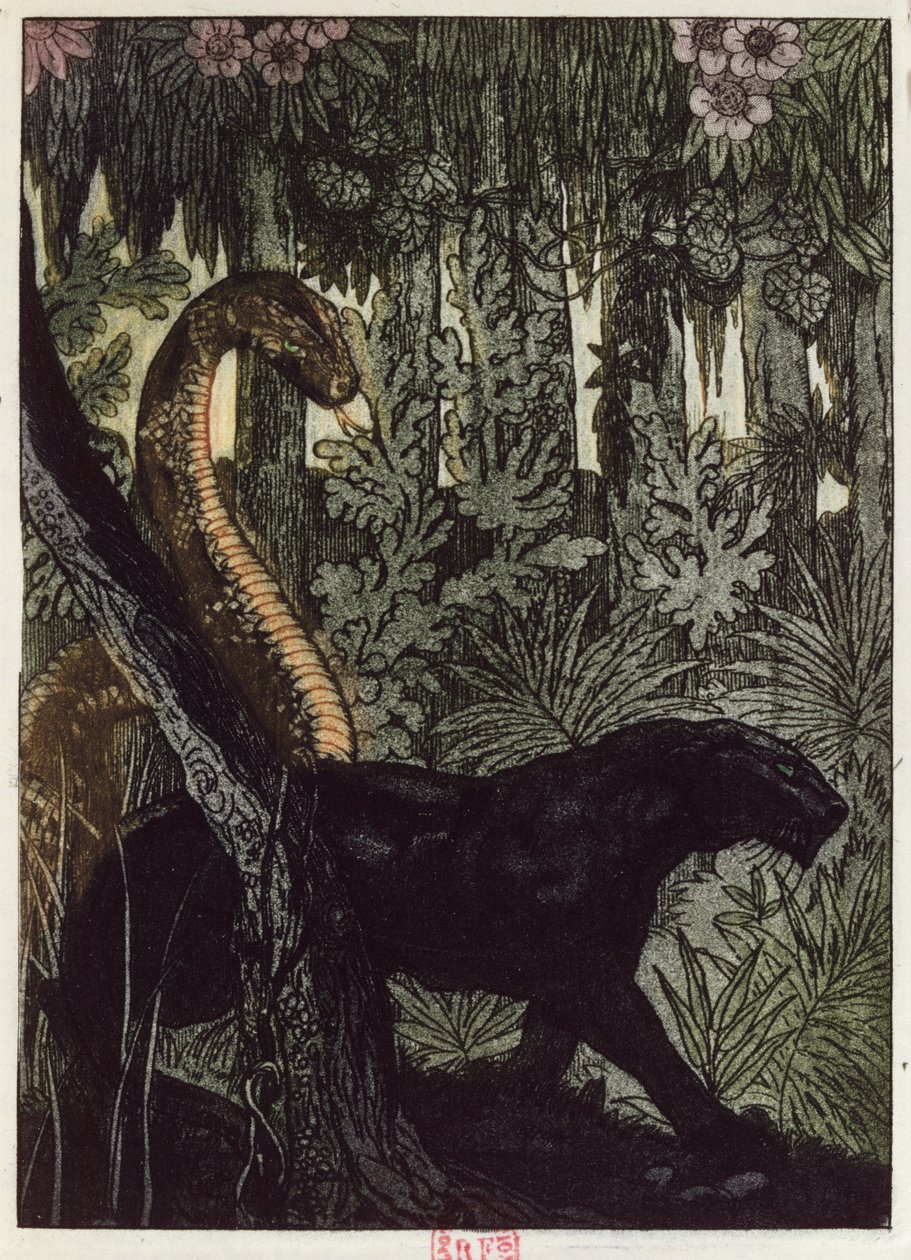 Kaas jagt, illustration fra "Junglebogen" af Rudyard Kipling (1865-1936) udgivet i Paris i 1930 af Maurice de Becque