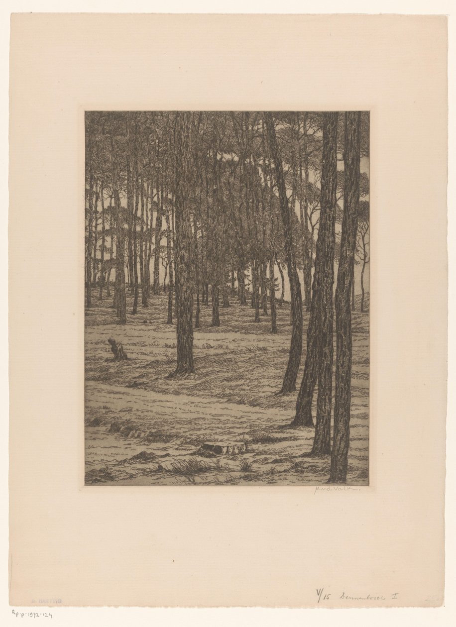 Dennenbosch I (original titel på objekt) Bos (original titel) af Maurits van der Valk (signed by artist)