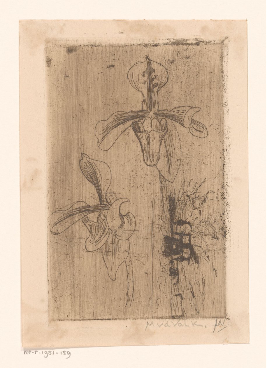 To orkideer og en vogn på stranden af Maurits van der Valk (signed by artist)
