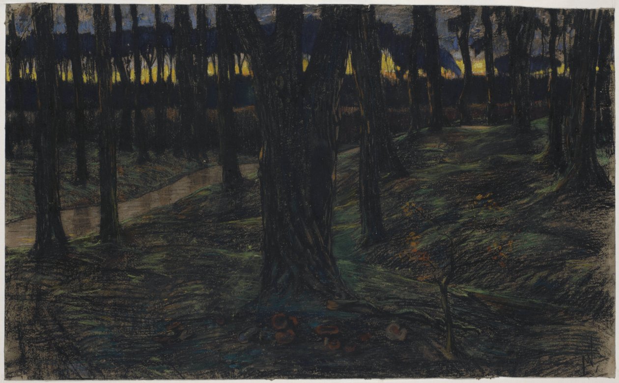 Skovudsigt ved solnedgang af Maurits van der Valk