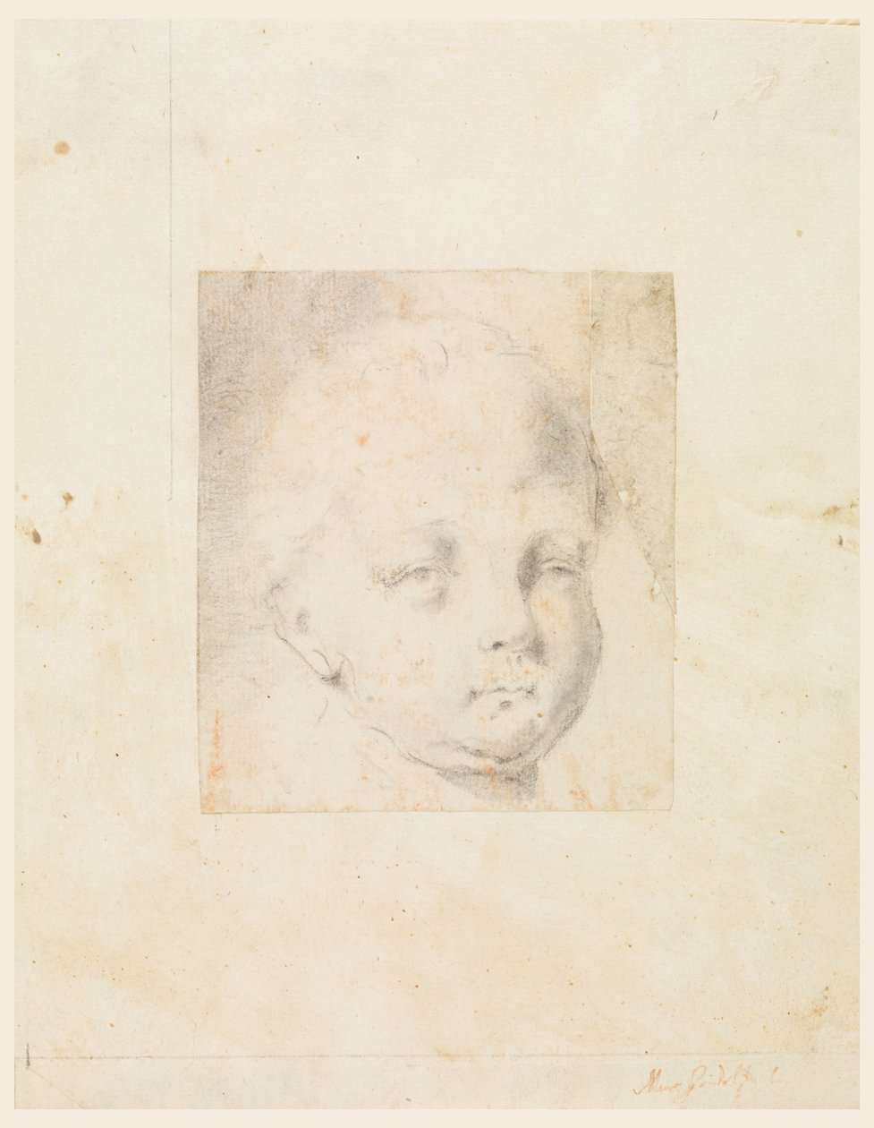 Tegning, studie: Hoved af en dreng, 1810-34 af Mauro Gandolfi