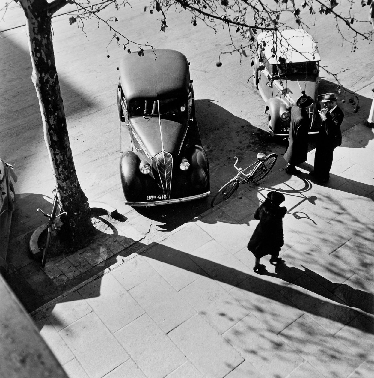 Adelaide af Max Dupain