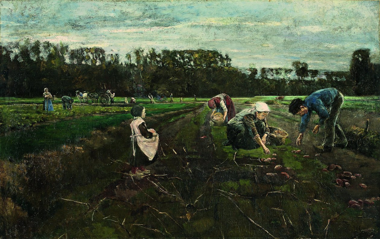 Kartoffelhøst af Max Liebermann