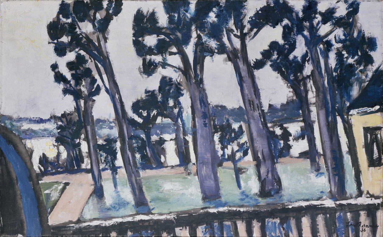 Udsigt over Havel fra Rupenhorn af Max Beckmann