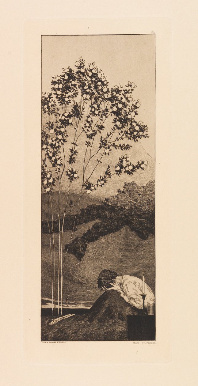 Opus VI, fra Paraphrase on the Finding of a Glove, 1881. af Max Klinger
