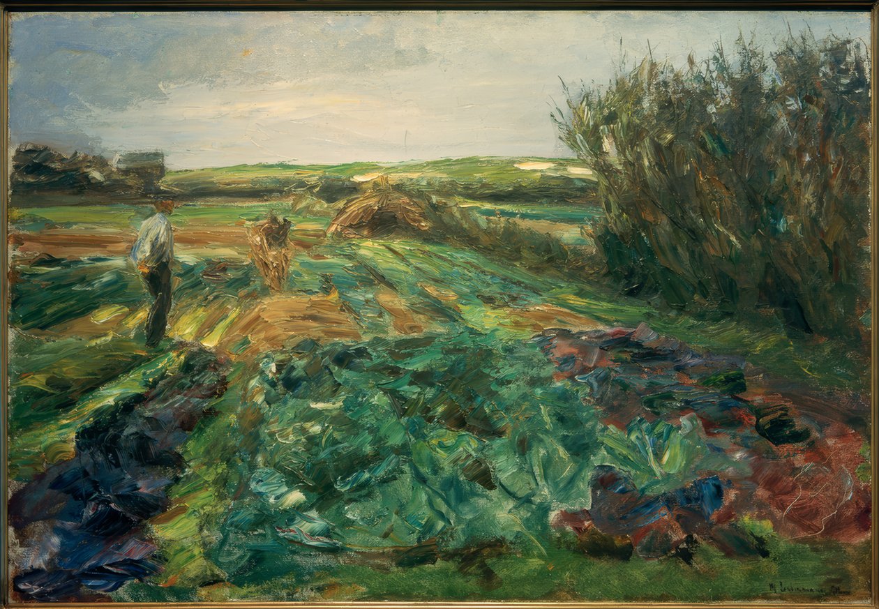 Das Kohlfeld (Kohlfeld i Noordwijk) af Max Liebermann