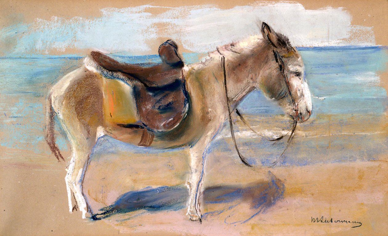 Æsel på stranden i Noordwijk, 1908. af Max Liebermann