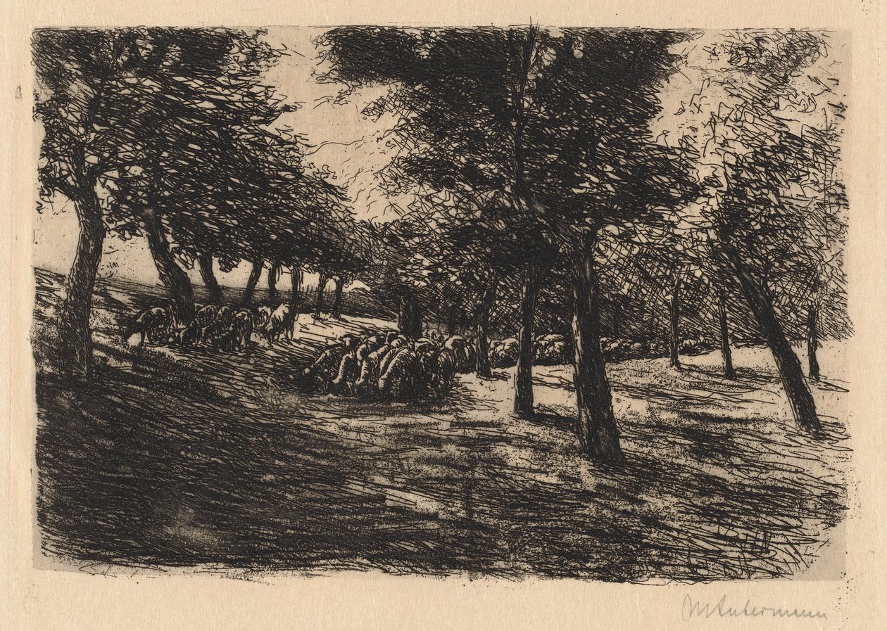 Flok får under træer af Max Liebermann