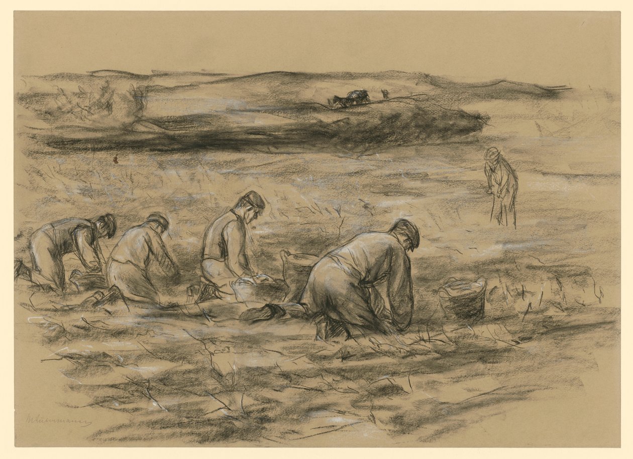 Kartoffeludgraver i Zandvoort af Max Liebermann