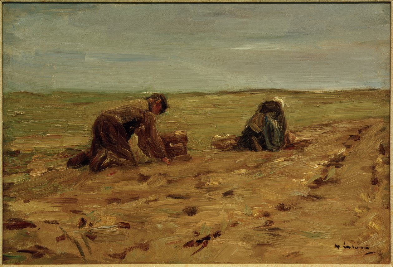Kartoffelhøst i klitterne af Max Liebermann